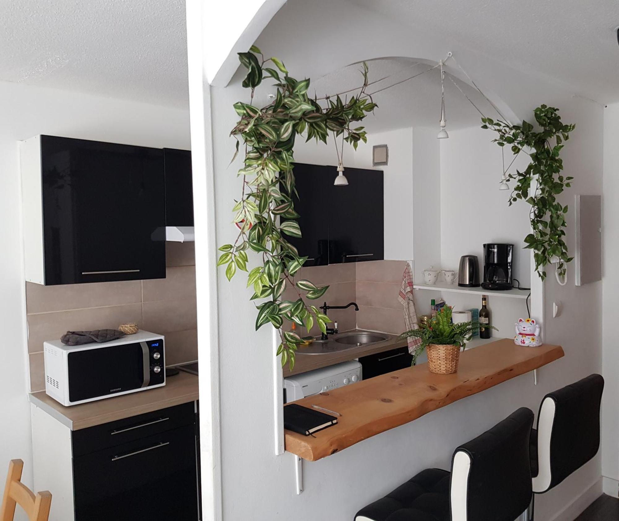 Le Petit Thai Appart 2 Pieces Zen Centre Ville Montpellier Eksteriør billede